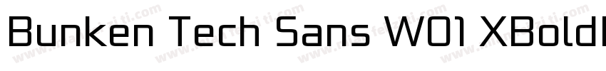 Bunken Tech Sans W01 XBoldIt Regular字体转换